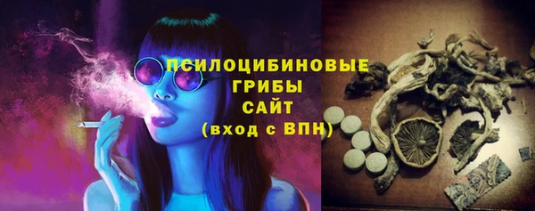 СК Алексин