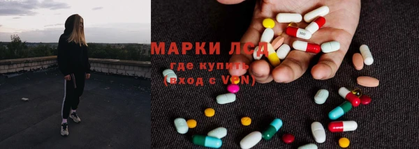 СК Алексин