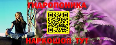 ГАЛЛЮЦИНОГЕННЫЕ ГРИБЫ Ипатово