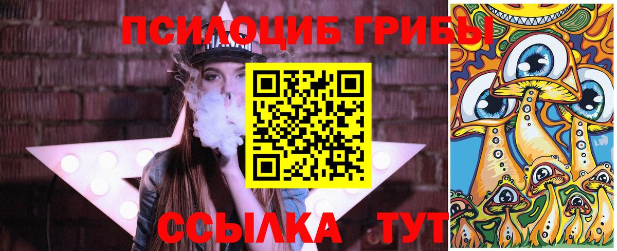 магазин  наркотиков  Вход с VPN  Псилоцибиновые грибы прущие грибы  Нефтеюганск  Псилоцибиновые грибы Cubensis 